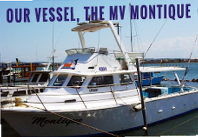 The MV Montique is 38ft and takes up to 12 anglers